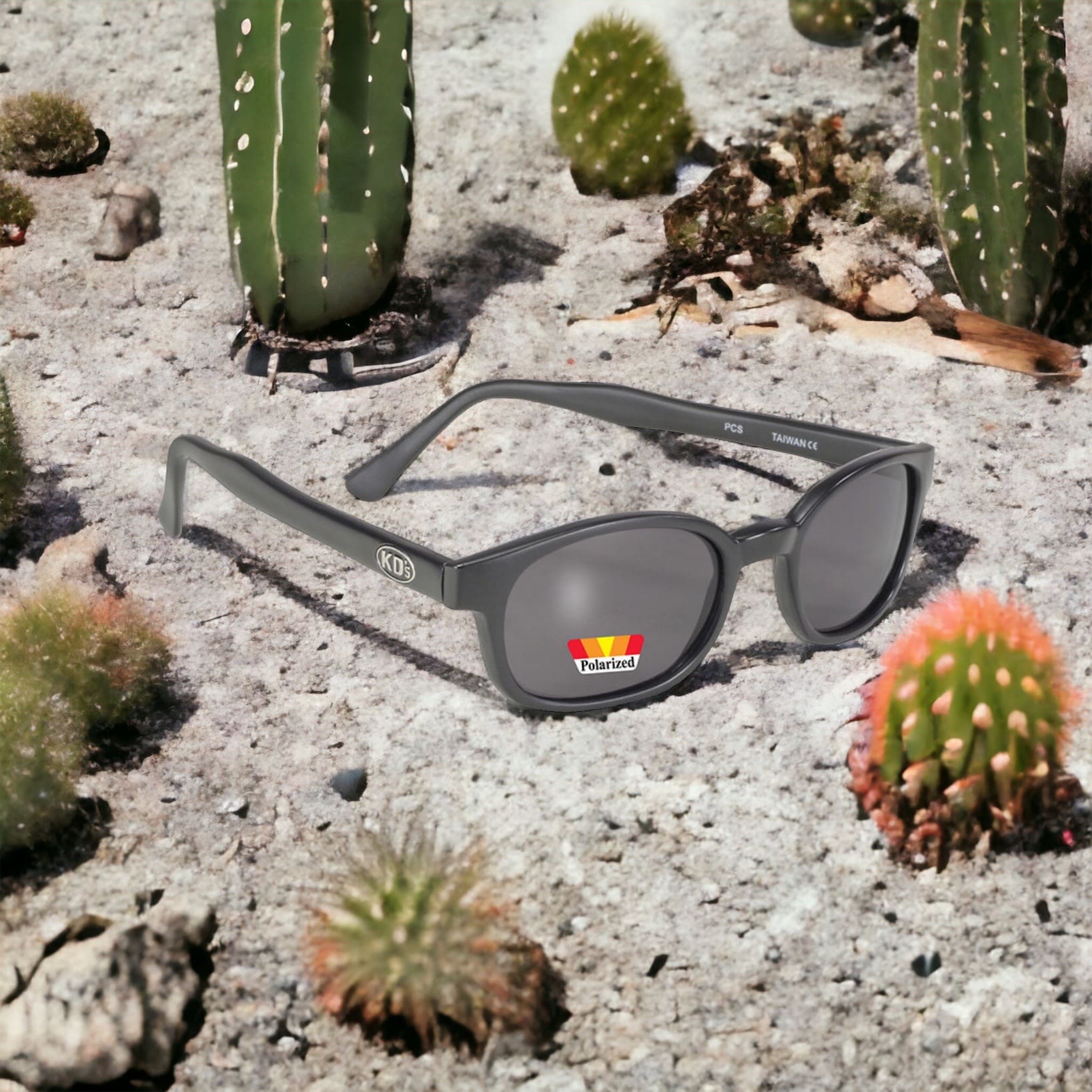 X-KD's 10019 large sunglasses with gray polarized polycarbonate lenses and a matte black frame set in pebbles and cacti in the desert.