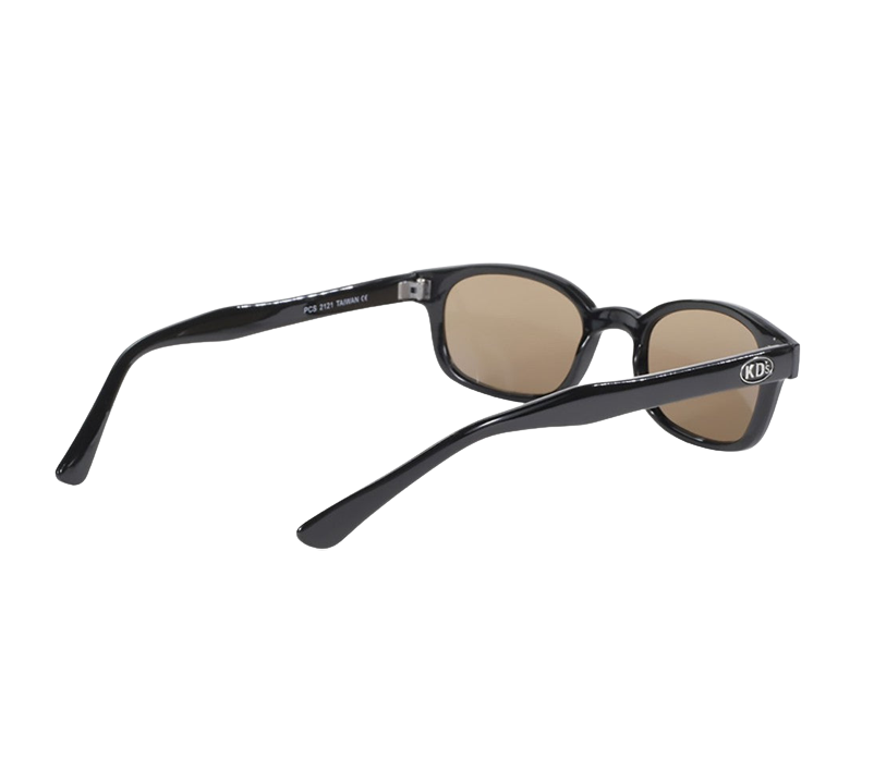 TRIOMPHE 09 SUNGLASSES IN ACETATE - BLACK | CELINE